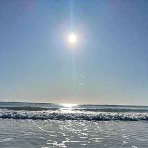 Meet your Posher, Tracey